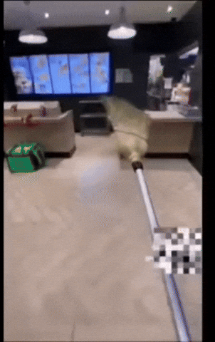 karlikhumlik run giphycreatortest fast xd GIF