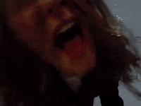 Butterfly Dreamland GIF by COIN
