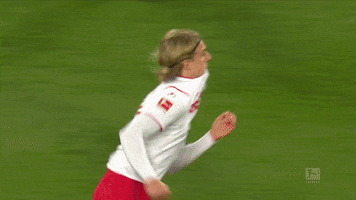 1 Fc Cologne Football GIF by 1. FC Köln
