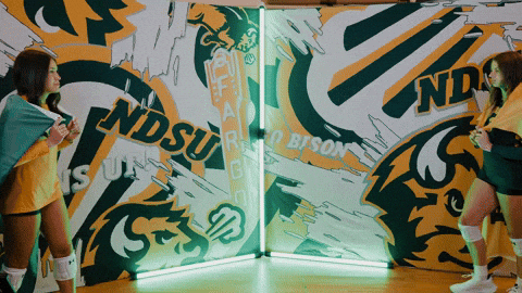 Volleyball Bison GIF by NDSU Athletics