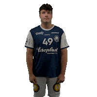 Handball Sticker by DAIKIN HBL