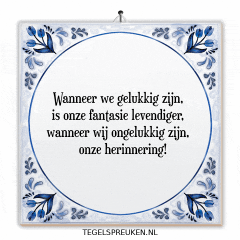 Nl Troost GIF by Tegelspreuken.nl