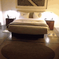 napaish GIF by andymilonakis