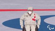 Paralympic Games GIF by International Paralympic Committee