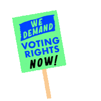 Right To Vote Voting Rights Sticker by INTO ACTION