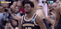 March Madness GIF by Michigan Athletics