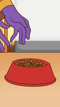 Magic What GIF