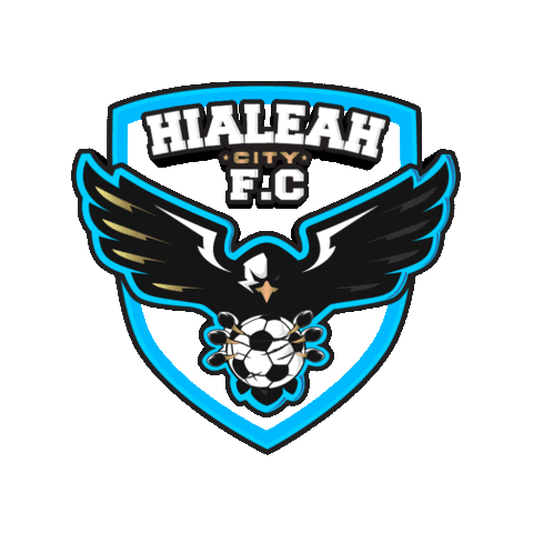 Sport Soccer Sticker by Hialeah City FC