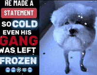 He Made A Statement GIF