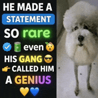 Dog Genius GIF