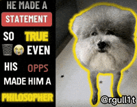 Philosopher GIF