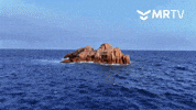 Costa Brava Spain GIF by Mr Urbina