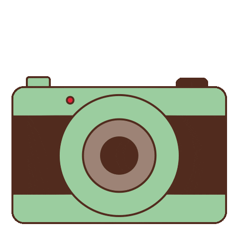 selfie camera Sticker by Zaans