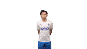 Singapore Premier League Football Sticker by Lion City Sailors