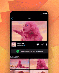Spotify Integration : Doja Cat