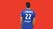 Luka Karabatic Ffhandball GIF by Fédération Française de Handball