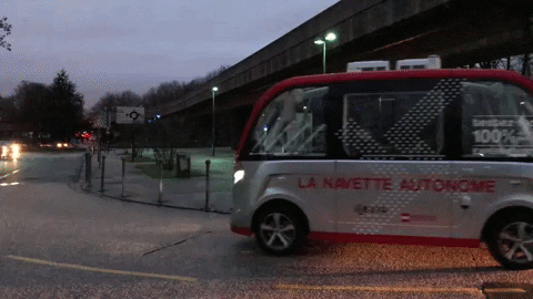 gallesheehan giphygifmaker GIF
