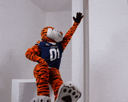 War Eagle Football GIF by Auburn Tigers