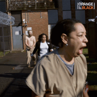 Orange Is The New Black Oitnb Season 5 GIF by NETFLIX