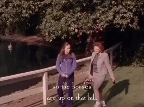 season 1 netflix GIF by Gilmore Girls 
