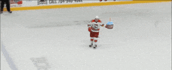 Happy Birthday Hockey GIF by Charlotte Checkers