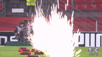 ligue 1 soccer GIF by Toulouse Football Club