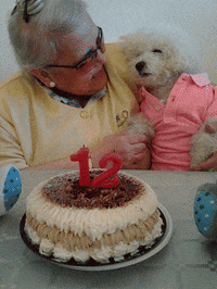 puppy de GIF