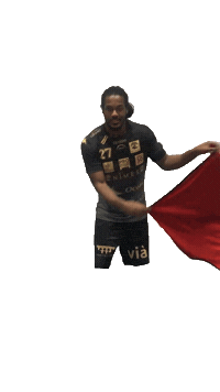 Europe Handball Sticker by USAM NIMES GARD