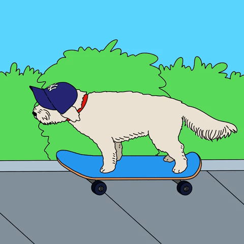 Skateboarding dog in New York