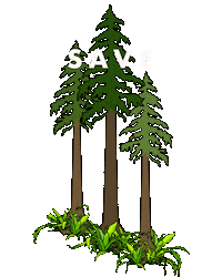 Redwood Forest Plant Sticker by IvyMay & Co.