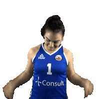 Basketball Vbl Sticker by 4Consult / Binnenland