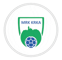 Handball Slovenia Sticker by Rokometna zveza Slovenije