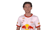 Red Bull Sport Sticker by FC Red Bull Salzburg