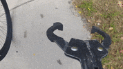 ramblignrubbisher  GIF