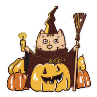 Trick Or Treat Party Sticker