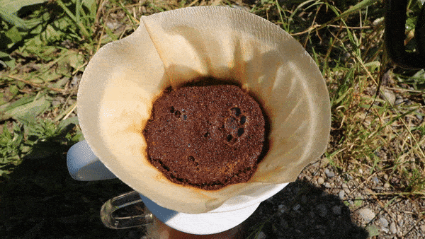 Extrapunkt giphyupload GIF