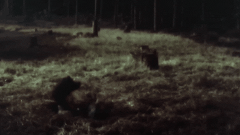 robertbirt giphygifmaker im out the great escape GIF