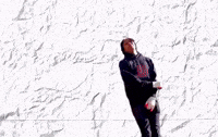 Stuntlife GIF