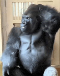 Watching Think About It GIF