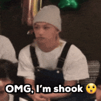 Stray Kids Omg GIF