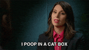 newsreaders GIF by Adult Swim