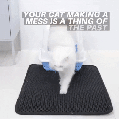 dervonjnpierre giphygifmaker GIF