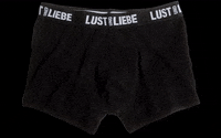 LUSTUNDLIEBE love liebe stuttgart underwear GIF