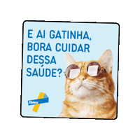 elanco_brasil gato elanco elancopets elancopetsbr Sticker