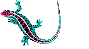 Pink Illustration Sticker