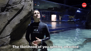 Getting Attacked By A Shark Is Extremely Rare