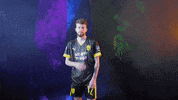 Meow Wolf Home Kit GIF by New Mexico United