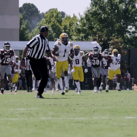 Lsu Football Win GIF by LSU Tigers
