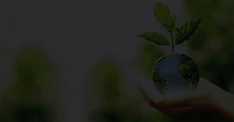 JasSunEdison giphyupload GIF