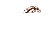 Western Michigan Sticker by WMU Broncos